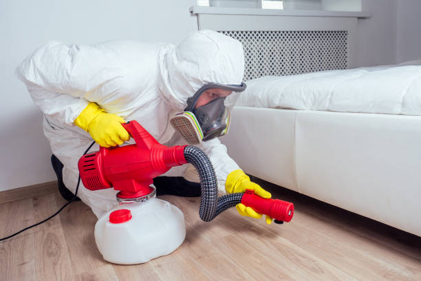 Best Affordable Pest Control Services  in Andrews, IN