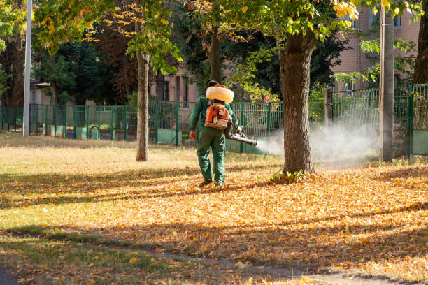 Best Termite Control Services  in Andrews, IN