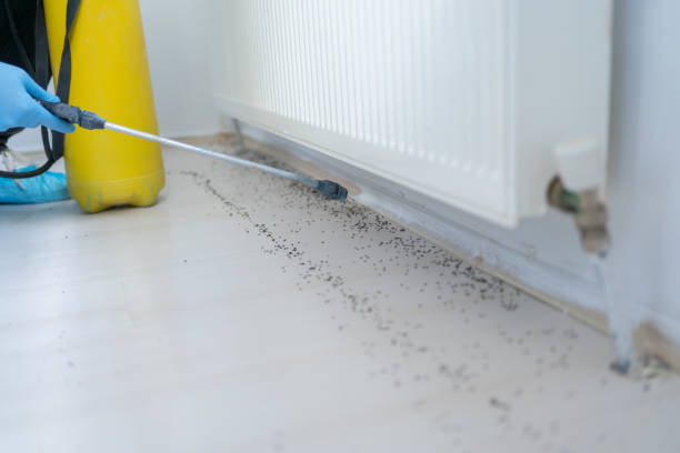Best Local Pest Control Services  in Andrews, IN