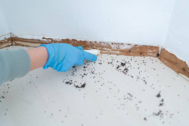 Best Cockroach Control Services  in Andrews, IN